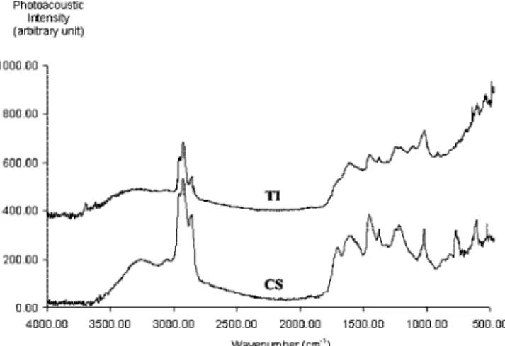 Figure 2. PA-FTIR spectra of CS and TI fractions separated from the filter matrix.