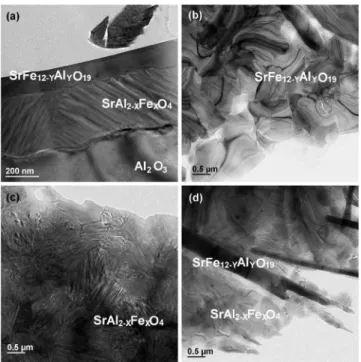 FIG. 5. TEM micrographs of the SrFeO 3 / Al 2 O 3 thin film system deposited at 700 ° C for 20 min and annealed at 700 ° C for 10 h plus 1000 ° C for 5 h