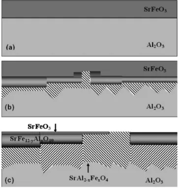 Figure 8共b兲 represents the thin film system following addi- addi-tional annealing at 850 ° C for 10 h