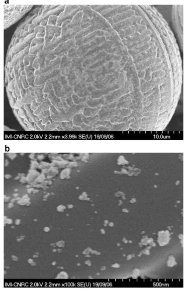 Fig. 5 shows the microstructures (cross-sections) of the titania coatings produced via FS processing