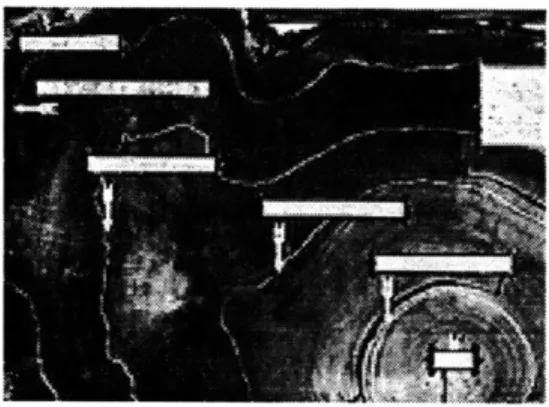 Figure  3-2:  The  tree  rings  of a  redwood  chart  history.