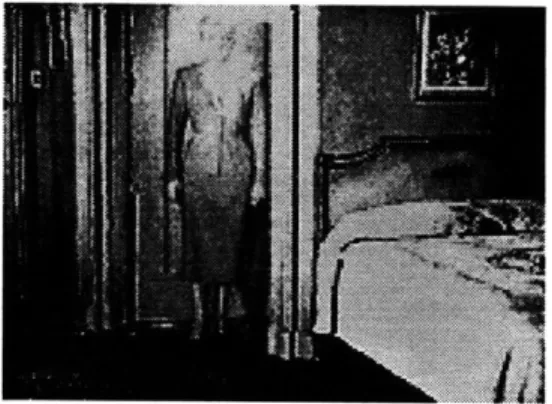 Figure  3-3:  Judy.  The  definitive simulacrum.
