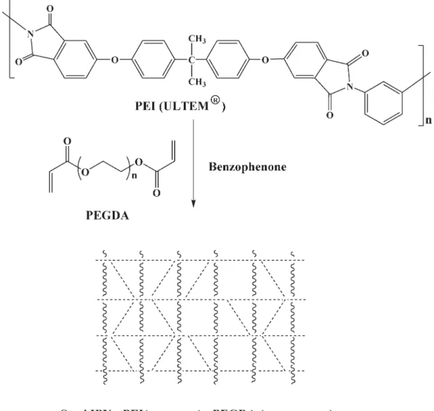 Table I lists the composition used to synthesize semi-IPN membranes. Several crosslinking methods were tried to identify the best suitable procedure for making the gas separation membranes
