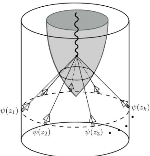 Figure 1 . A shell made up of individual null dust particles collapses to form a BTZ black hole.