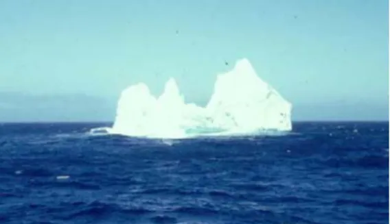 Fig. 1  A large iceberg floating in the North Atlantic 