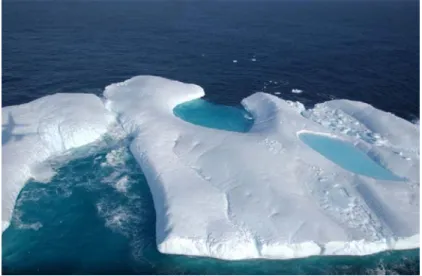 Fig. 4  An ice island with multiple melt pools 