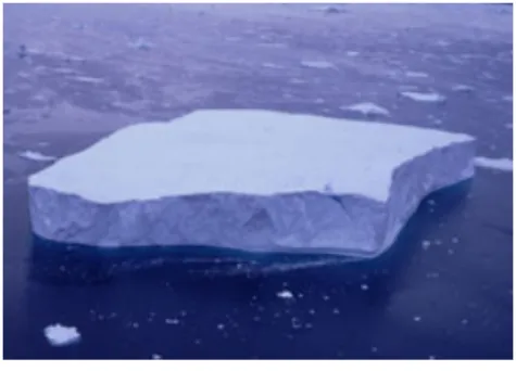 Fig. 5  A tabular iceberg 