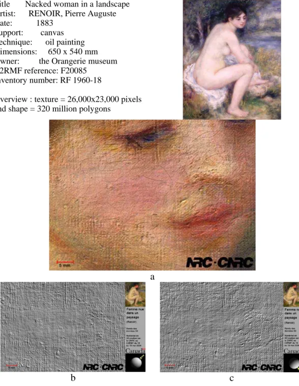 Figure 11: Detail of the face area scanned at a lateral resolution of 50 microns. (a) Colour  image showing the cracks network