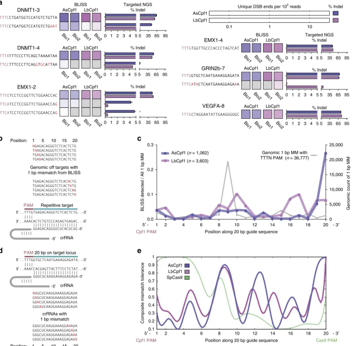 Figure 3 | Characterization of AsCpf1 and LbCpf1 speciﬁcity. (a) Validated on- and off-target sites for AsCpf1 and LbCpf1 for six separate guide targets as measured by Cpf1-BLISS over two independent biological replicates and validated by targeted NGS (n ¼