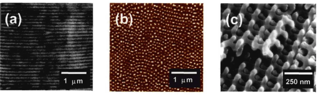 Figure 1.3:  ID, 2D, 3D photonic crystals from (a) lamellar (from  [26]) (b)  cylindrical (from  [32])  and (c) double gyroid (from [36]) morphologies of PS-b-PI block copolymers, respectively