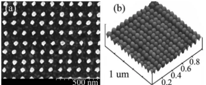 Fig. 2. Sample images of fabricated Au nanoposts 50 nm in size, 110 nm period (a) SEM image; (b) AFM surface plot.