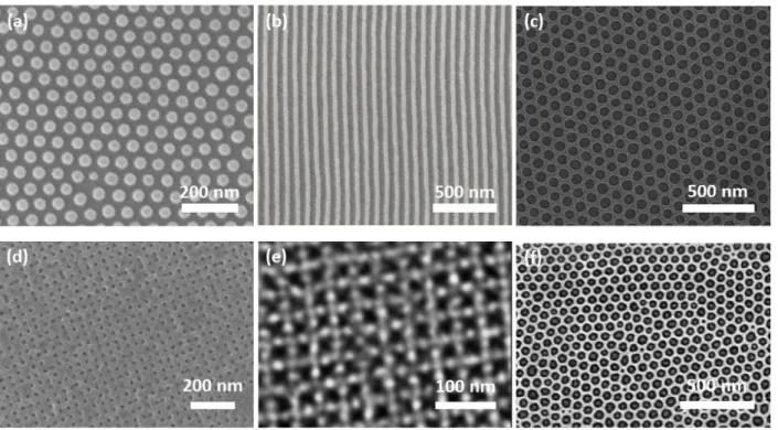 Figure 2.1. Representative SEMs of thin film self-assembled block copolymer  structures