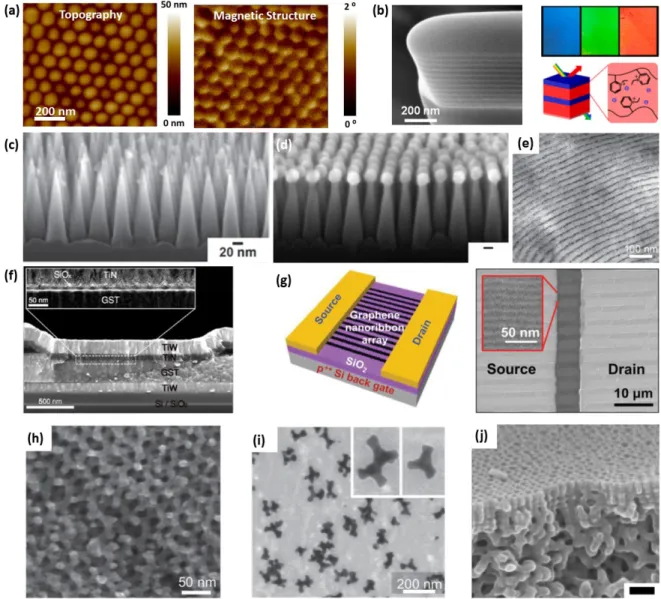 Figure 2.6. Functional materials made using block copolymers. (a) Left: The  surface topography of ion-beam etched cobalt nanodots imaged by scanning  probe microscopy, Right: The corresponding magnetic structure of the patterned  nanodots showing in-plane