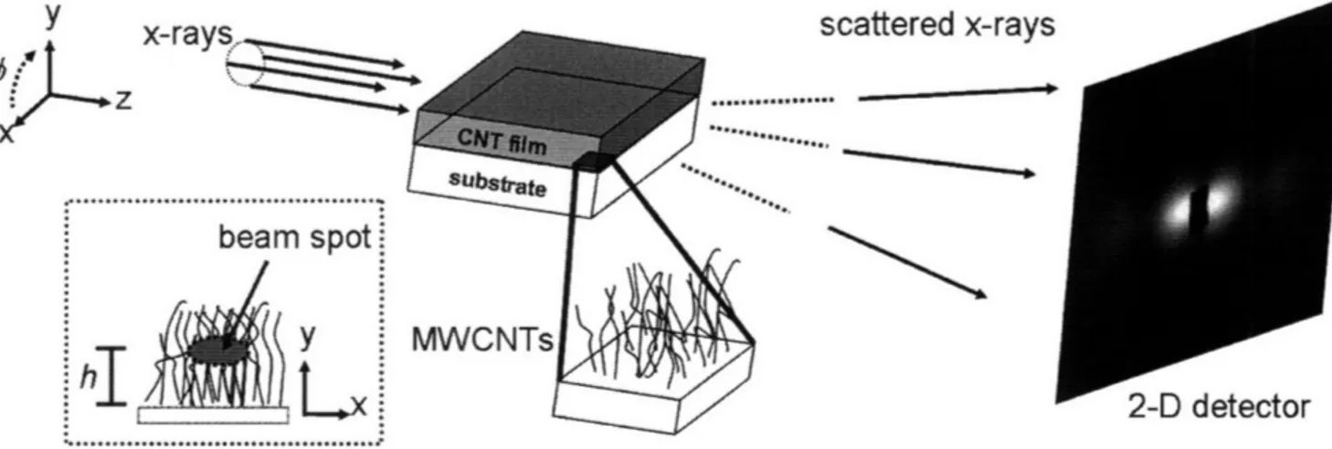 Figure  5  Typical  setup  for  SAXS  of  carbon  nanotube  tubes.  A  motorized  stage allows  for  progressive  vertical  scans  to  be  taken  in  the  y-direction,  at  a  height  h from the substrate surface