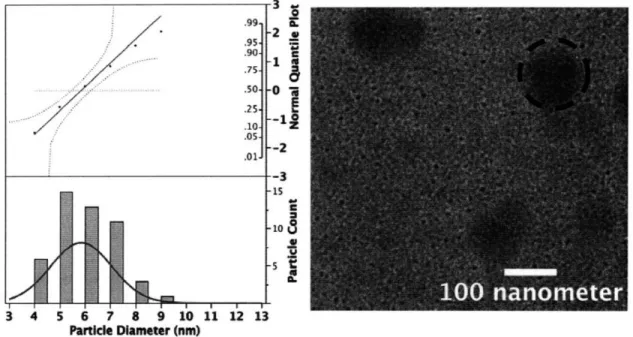 Figure  8  Distribution  of  particle  diameters  for  Small  (PS 1 100 0 o-b-PAA 1200  Metal Loading  =  0.5)