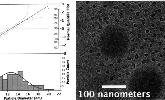 Figure  10  Distribution  of  particle  diameters  for  Large  (PS1600oo-b-PAA 4 500  Metal Loading  =  5)