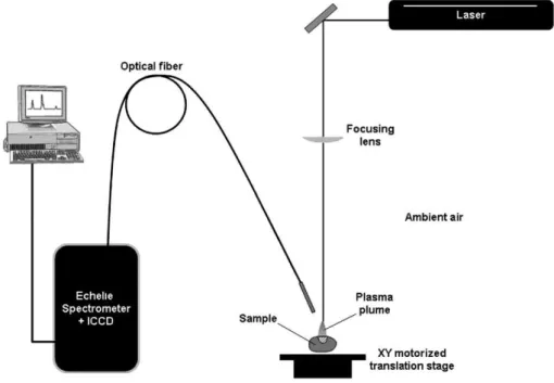 Fig. 1. Schematic experimental set-up with the Echelle spectrometer.