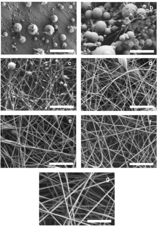 Figure 2 presents the SEM images of the Nafion-PEO structures obtained with increasing PEO contents