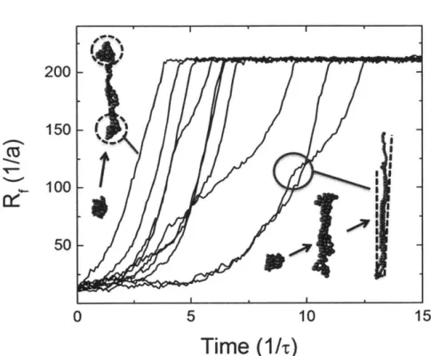 Figure  3-6:  The  end-to-end  distance  RF  of  a  polymer  measured  as  a  function  of time  for  a  100  bead  chain  in  FD  conditions  (at low  interaction  energies,  ALi  = 0.26).
