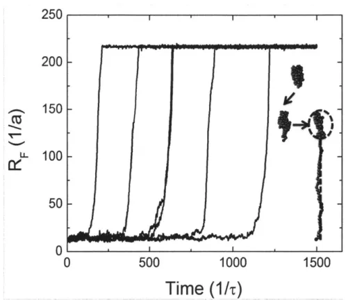 Figure  3-8:  The  end-to-end  distance  RF of  a polymer  measured  as  a  function  of time for  100  bead  chains  considering  HI