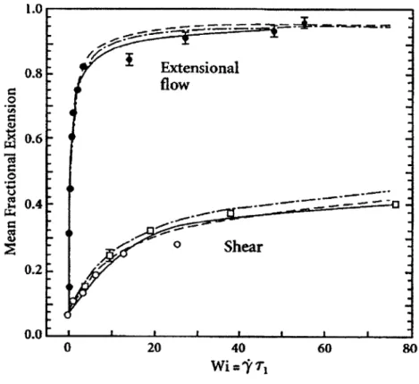 Figure  2-2:  Single  molecule  extensional  response  to  shear  and  elongational  flows, with  excellent  agreement  observed  between  simulation  (dashed,  dotted  lines)  and experiment  (points)