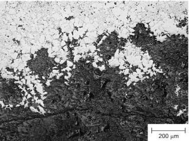 Figure 2: Interface between corrosion products (dark colour) and cast iron (light colour with dark  flakes) in a spun cast pipe