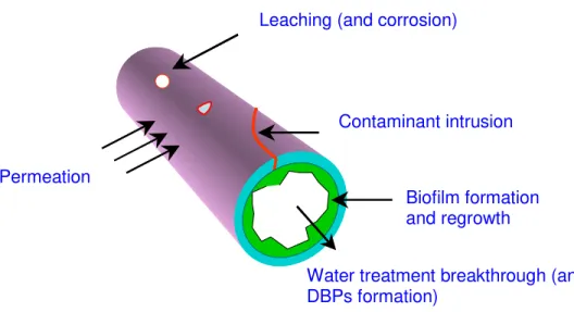 Figure 1. Pathways for water quality failures in water distribution networks 