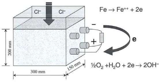 Fig. 1. Setup for tests on concrete prisms 