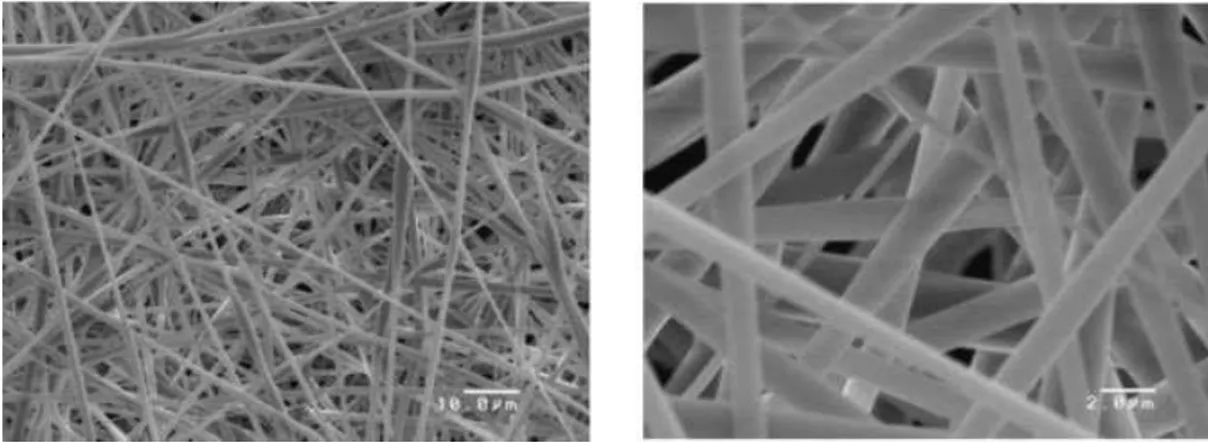 Figure 3. SEM images of the electrosprayed PSf membrane imprinted by Z- D -Glu [(Z- D -Glu)/(PSf) ¼ 2.00].