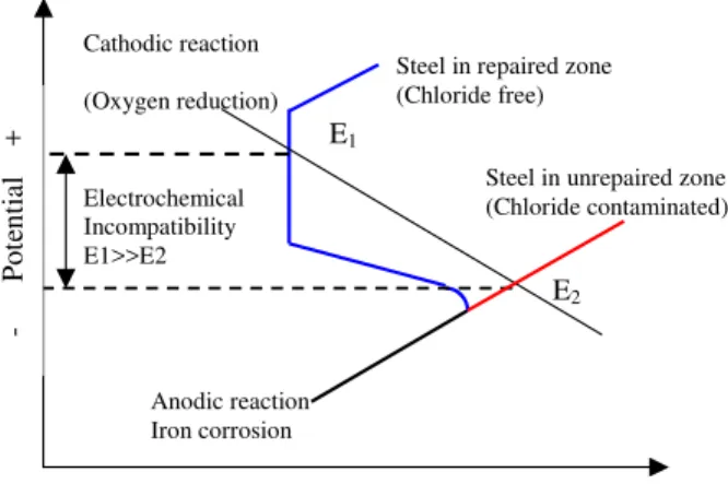 Figure 1. Schematic polarization curves showing electrochemical incompatibility  between repaired and unrepaired area contaminated by chloride (adapted from Gu et al
