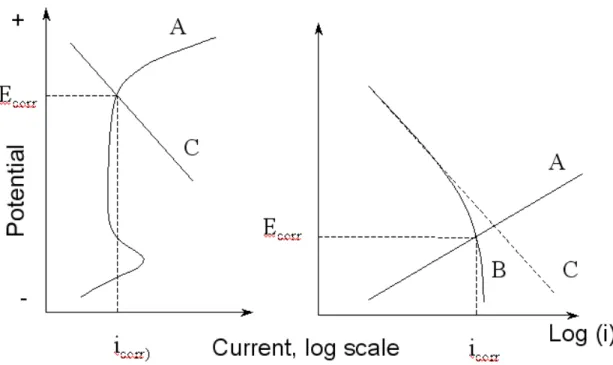 Figure 3. Schematic polarization curves of reinforcing steel in concrete structures 