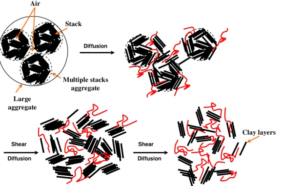 Figure 8. Mechanism of dispersion at stirring step 