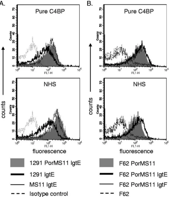 FIG. 3. The effect of LOS HepI substitutions on C4BP binding is Por specific and independent of strain background