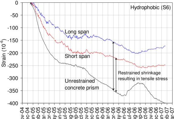 Figure 7: Calculated net shrinkage strain 