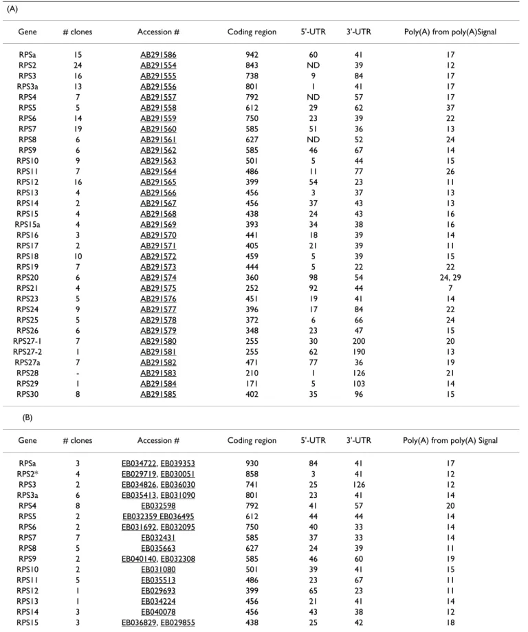 Table 2: Structural characteristics of the cDNAs encoding RPs of (A) Senegalese sole, Solea senegalensis and (B) Atlantic halibut,  Hippoglossus hippoglossus