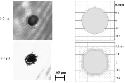 Fig. 2. (a) Experimental photographs and (b) numerical simulation images of molybdenum particles spreading on glass at 400 ◦ C.