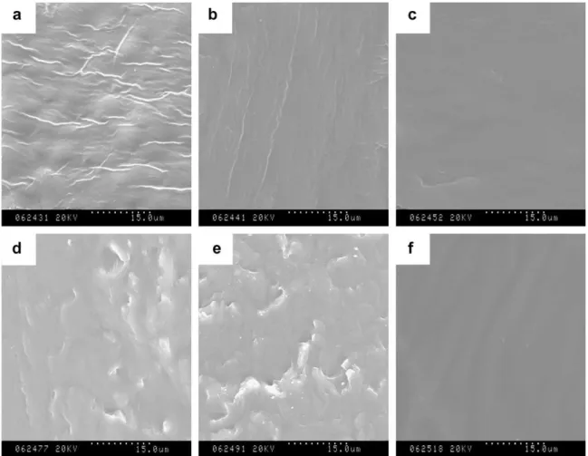 Fig. 1. SEM images of the PS/WPU blends with different WPU content: a, 0 wt%; b, 10 wt%; c, 20 wt%; d, 30 wt%; e, 50 wt%; f, 100 wt% (scale bar: