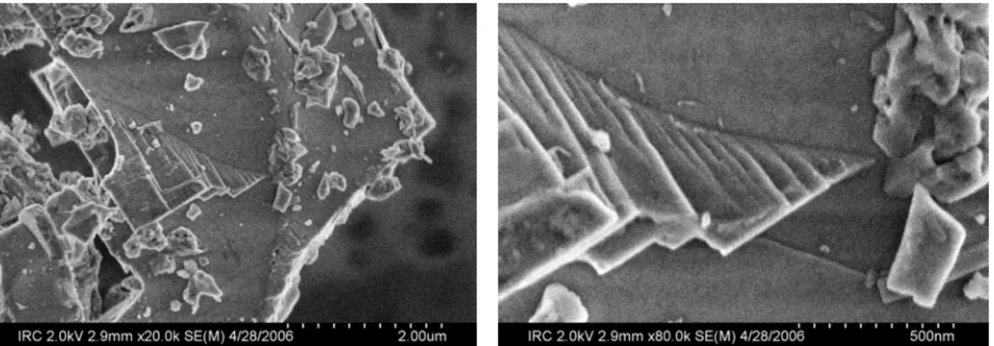 Figure 11 - Layered structures exposed during grinding, unhydrated St. Laurence 2005  OPC 