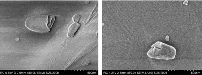 Figure 5 - Unhydrated new C3S with additional surface texture revealed through      decelerating voltage (left) or instrument filters (right) 