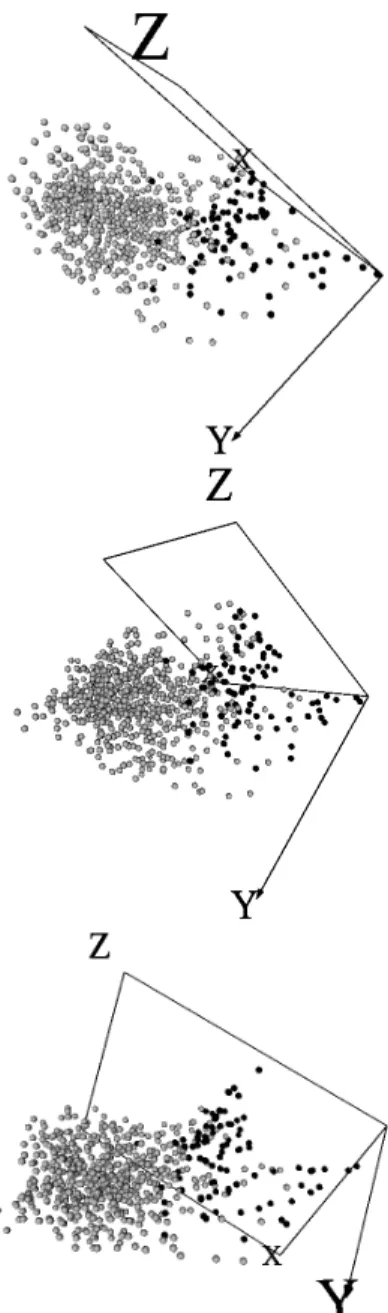 Figure 5: Selected multi-objective optimization algorithm (NSGA-II) solutions. Top: best Sammon error solution (Sammon error: 0.0383, Classif error: 0.5725)