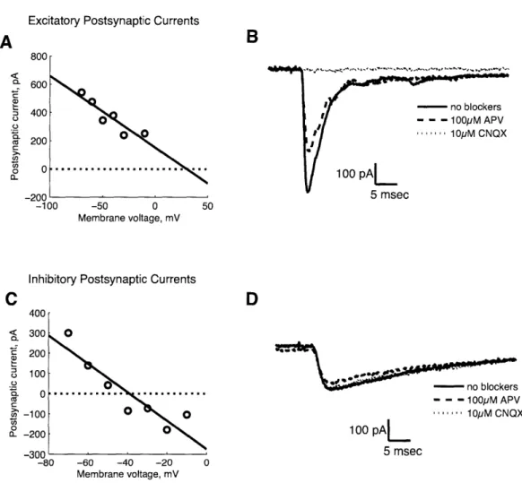 Figure  1.  Validating  reversal  potential  as  a  method  to  select  glutamatergic  synapses