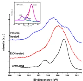 Figure 1 – XPS analysis of the PET10 fibers  composite  