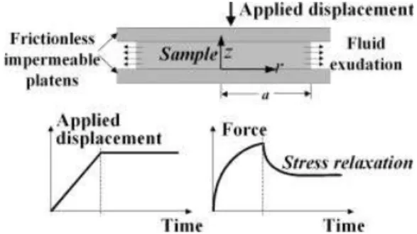 FIG. 1. Schematics of the applied ramp displacement and the corre- corre-sponding stress-relaxation under unconﬁned compression test.