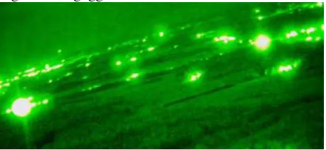 Figure 1. Halo around light sources, seen through  night vision goggles. 