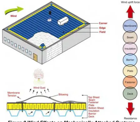 Figure 3 Wind Effects on Mechanically Attached Systems 