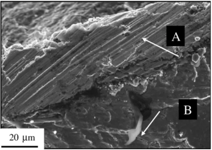 Fig. 5 shows the probability of failure (P f ) as a function of the number of cycles to failure (N) for the coated and uncoated specimens