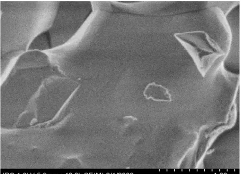Figure 4:  Cold Field Emission SEM images of unhydrated tricalcium silicate (A) and tricalcium  silicate hydrated for 2.5 (B), 2.75 (C), 2.92 (D) and 4 (E) hours