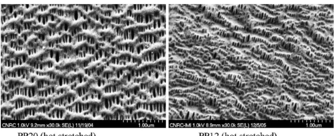 Fig. 7. SEM micrographs of the two hot stretched (40% at 140 ◦ C) samples already presented in Fig