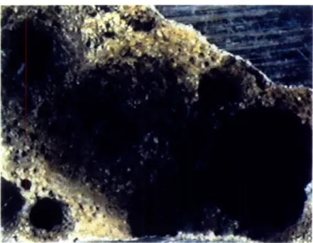 Figure 4-7:  Specimen  #1 Deep Pits (100X  magnification)