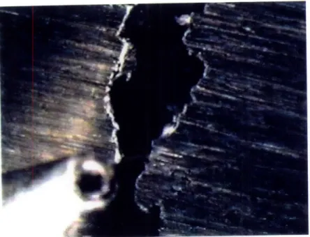 Figure 4-9:  Specimen  #1 Deep Edge  Pits (100X  magnification)